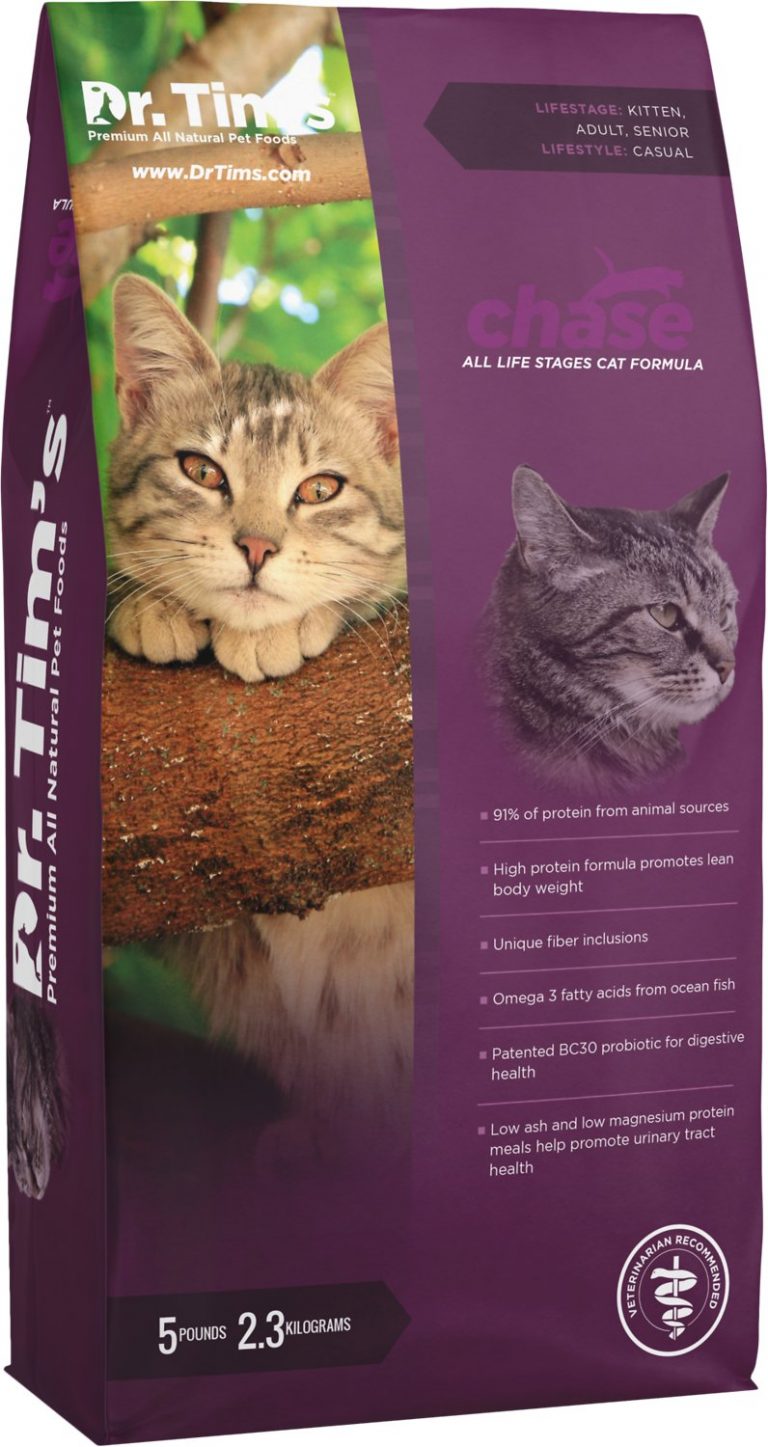 cat throwing up digested food every day cat throwing up digested food every day